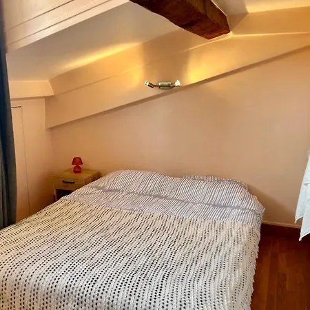 Studette Cosy Centre - Palais&plage A Pied Apartman *