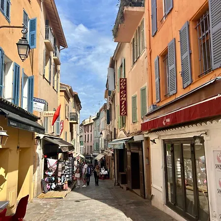 Studette Cosy Centre - Palais&plage A Pied * Cannes