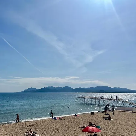 Studette Cosy Centre - Palais&plage A Pied Apartman Cannes